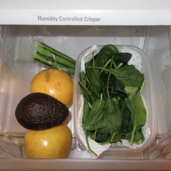 Inside The Fridge Welcomes Grad Student Ann Lokuta 