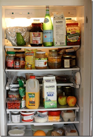 EA Stewart Fridge1