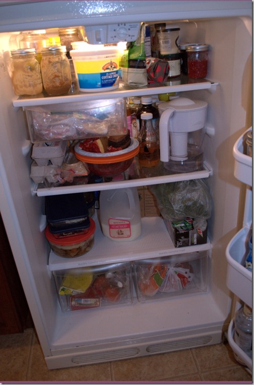 sarahlearns_fridge_1