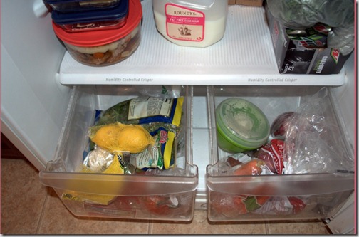 sarahlearns_fridge_3