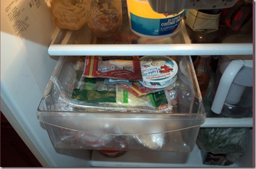 sarahlearns_fridge_4